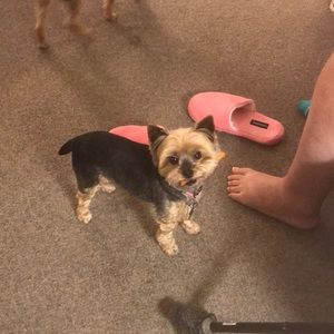 Meet your Posher, Leah